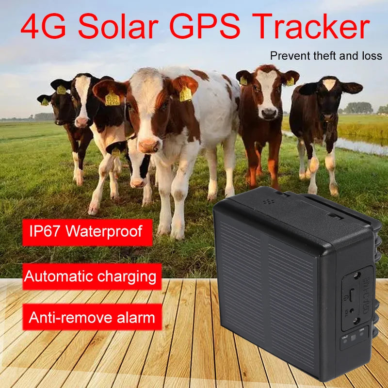 Rastreador GPS Solar 4G RF-V24C 4000mAh ganado vaca oveja caballo animales coches dispositivo de seguimiento imán Monitor de voz localizador gps inteligente 