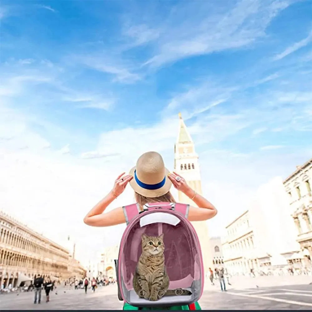 Mochila transportadora de mascotas para gatos, cápsula transparente, mochila para mascotas con burbujas, Animal PEQUEÑO, cachorro, gatito, pájaro, transportador de mascotas transpirable para viajes 