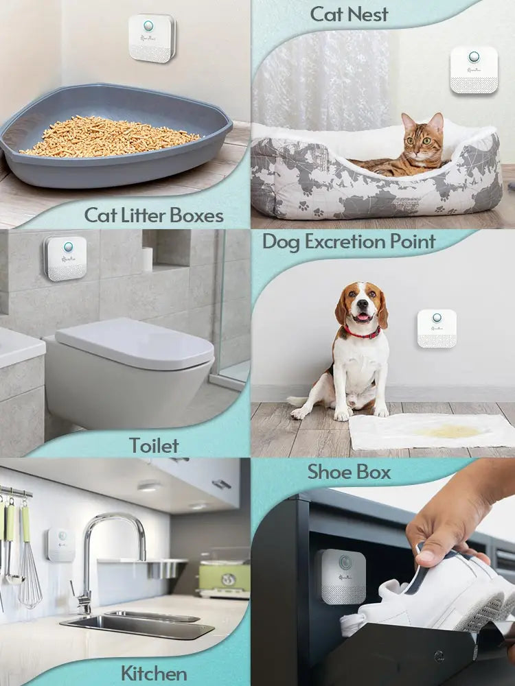 DownyPaws-purificador de olores de Gato elegante, desodorante para caja de arena para gatos, purificador de aire para inodoro de mascotas, desodorante para arena para perros y gatos, 4000mAh 