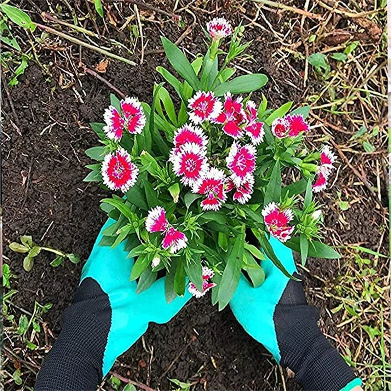 Gardening Gloves with Claws Digging Planting Protective Latex Gloves Durable Waterproof Prick-proof Permeable Home Labor Gloves