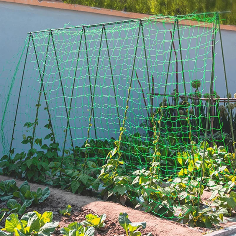 High-quality Garden Climbing Netting Strong Nylon Plant Trellis for Climbing Plants Loofah Morning Glory Flowers Cucumber Vine