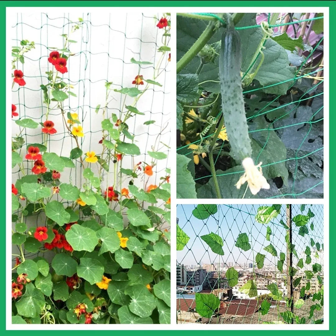 High-quality Garden Climbing Netting Strong Nylon Plant Trellis for Climbing Plants Loofah Morning Glory Flowers Cucumber Vine