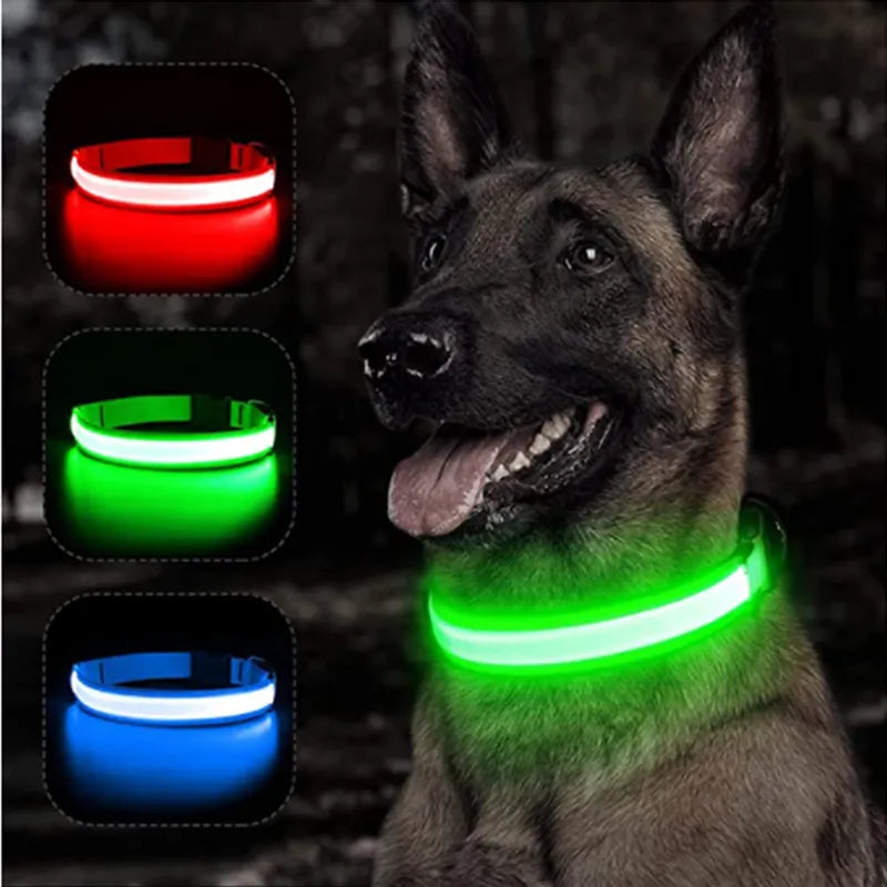 Collar de perro LED brillante, Collar luminoso recargable intermitente ajustable, arnés de luz nocturna antipérdida para perros pequeños, productos para mascotas