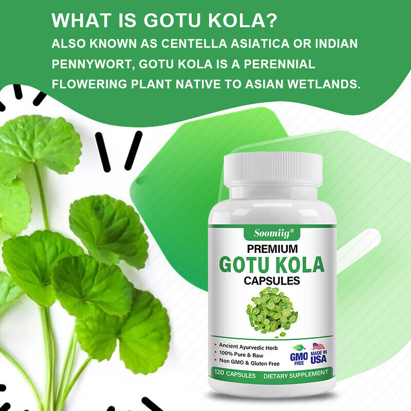 Gotu Kola Extract Capsules Centella Anxiety Brain Health Memory