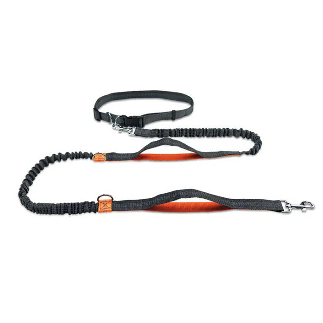 Reflective Leash Traction Rope Pet Dog Running Belt Elastic Hands Freely Jogging Pull Dog Leash Metal D-ring Leashes Harness